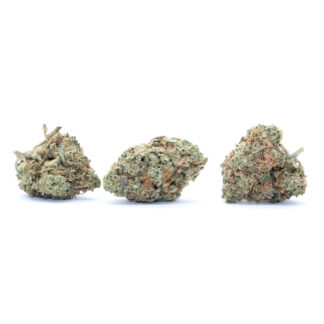 Red Congolese Flower (smalls)