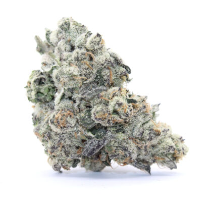 Snowcap Flower (Smalls)