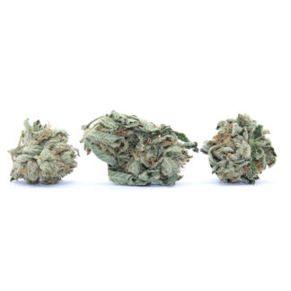 Tiger Cake Flower (smalls)