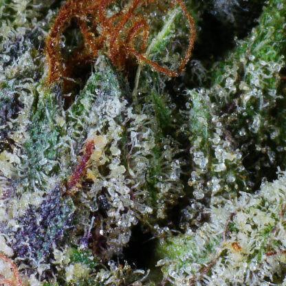 Death Bubba Flower (gas) - Image 4