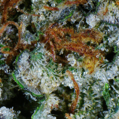 Death Bubba Flower (gas) - Image 5
