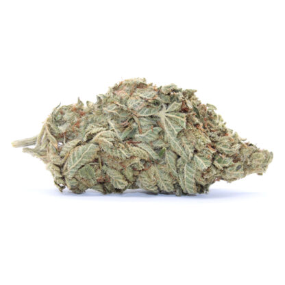 Durban Poison Flower - Image 2