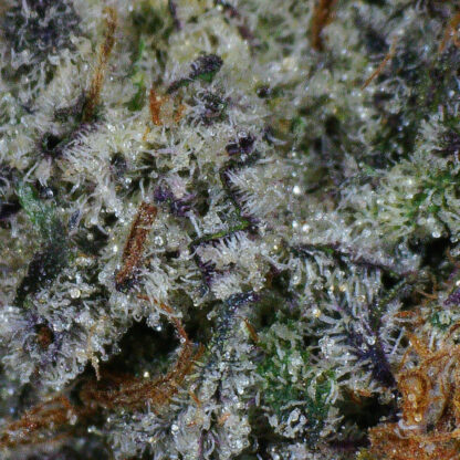 Grape Candy Flower - Image 4
