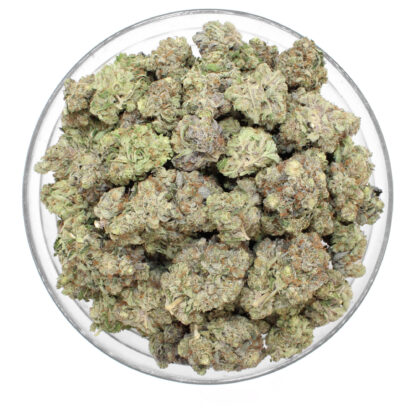 Pine Tar Flower (Gas) - Image 3