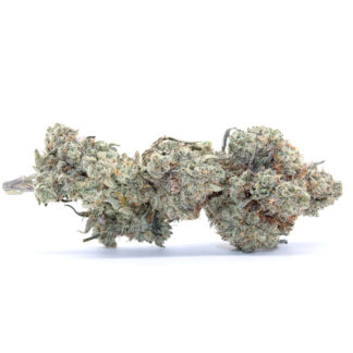 Cake N Bake Flower (smalls)
