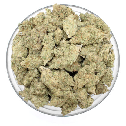 Durban Poison Flower - Image 3