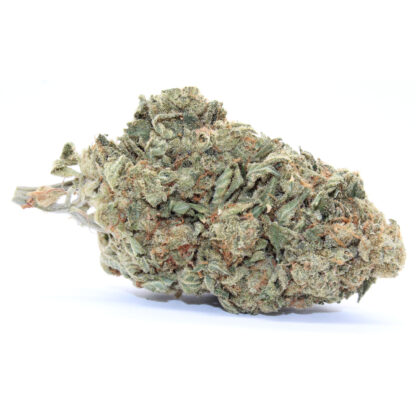 Durban Poison Flower