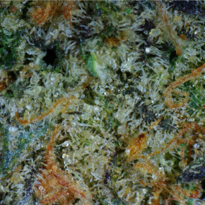 Guava Gas Flower - Image 5