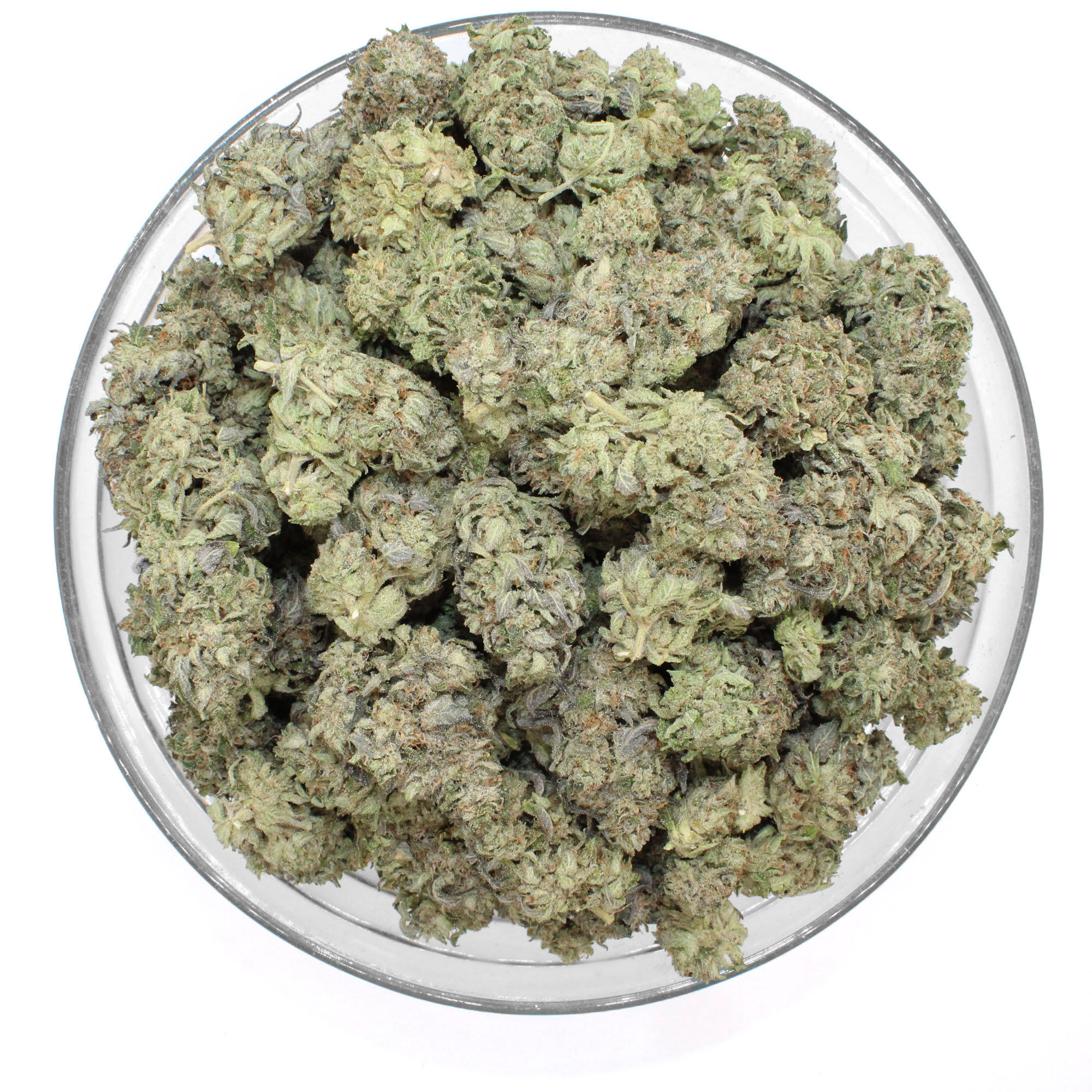 Pine Tar Flower (Gas) (Tops) 3 Pine Tar Flower (Gas) (Tops) - Image 3