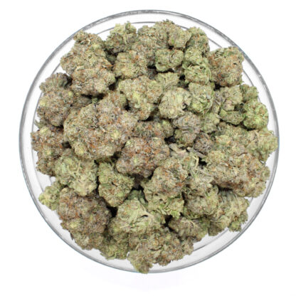 Pink Rockstar (Gas) Flower - Image 3
