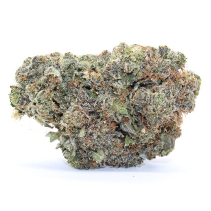 Pink Rockstar (Gas) Flower