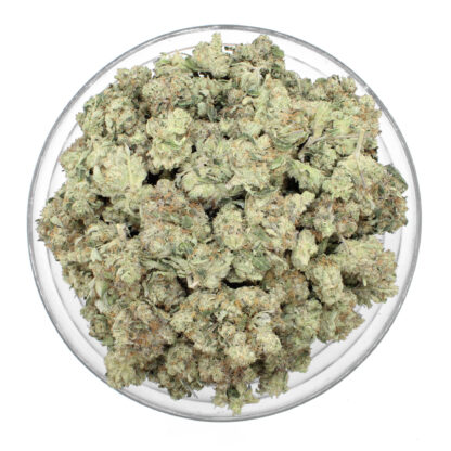 Violator Kush Flower - Image 3