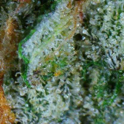 Mac 1 Flower - Image 4