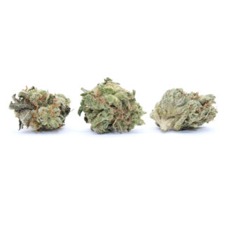 Pink Goo Flower (smalls)