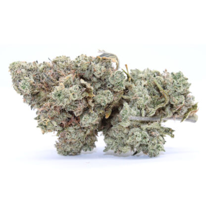 Pleasure Parlor Flower - Image 2