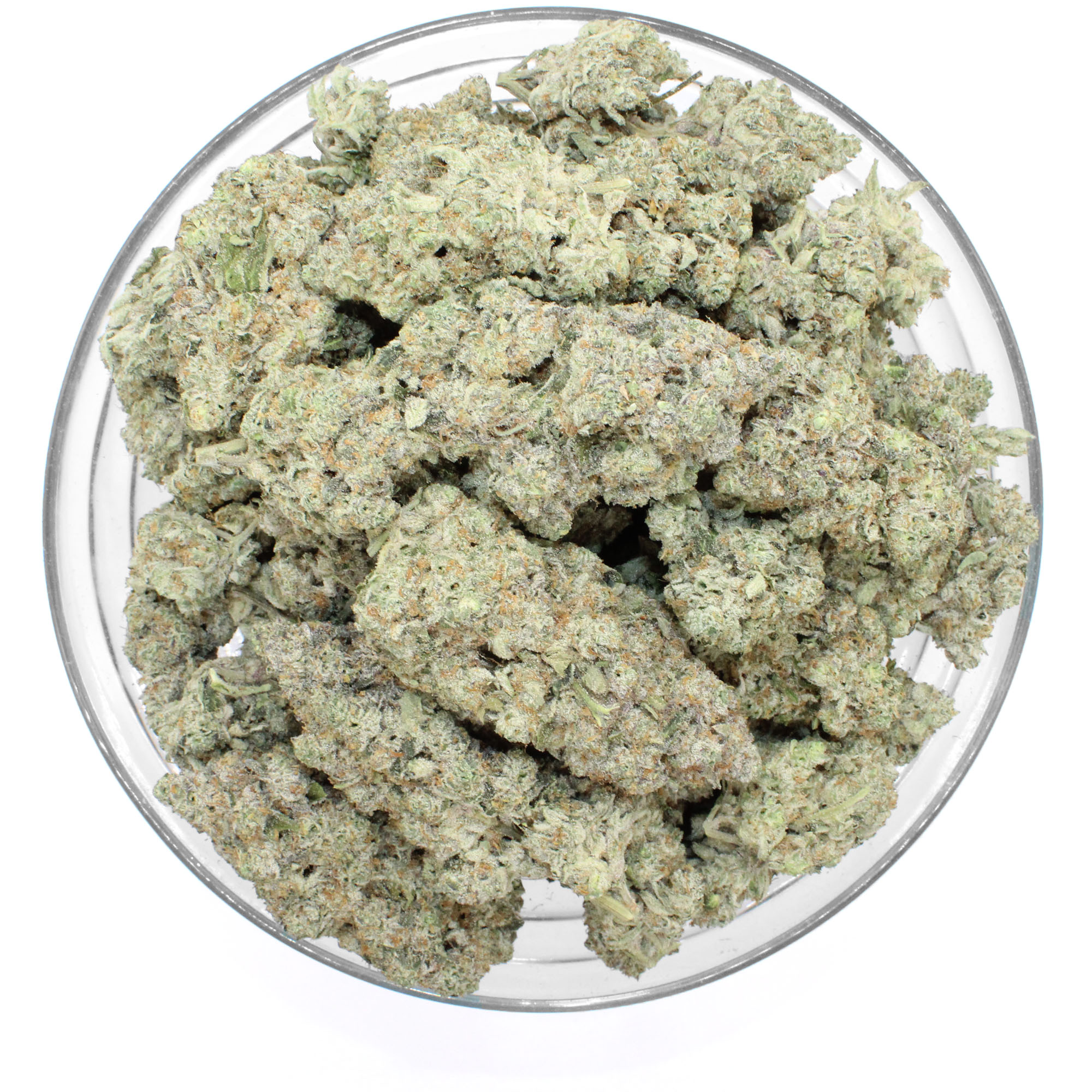 Frosted Dragon Flower (Quad) 3 Frosted Dragon Flower (Quad) - Image 3