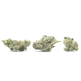 frosted dragon NUGS SMALLS 81816
