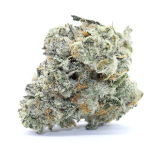 frosted dragon SMALLS 81815