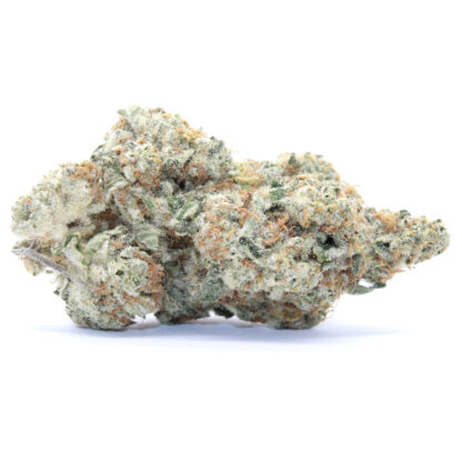 King Fuel Flower - Image 2