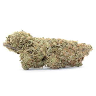 Lemon Cherry Gelato Flower