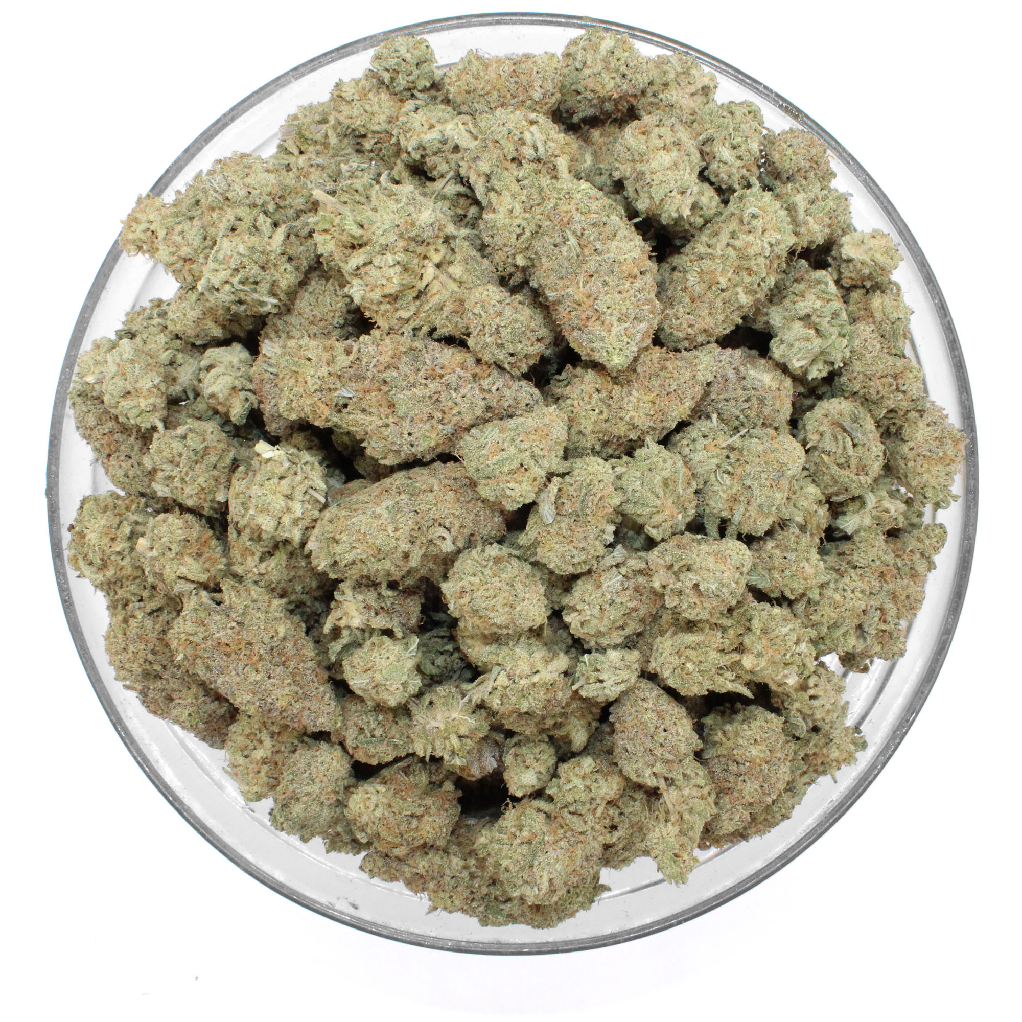 Lemon Cherry Gelato Flower 2 Lemon Cherry Gelato Flower - Image 2