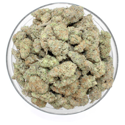 Miami Yayo Flower (May Contain Seeds) - Image 3