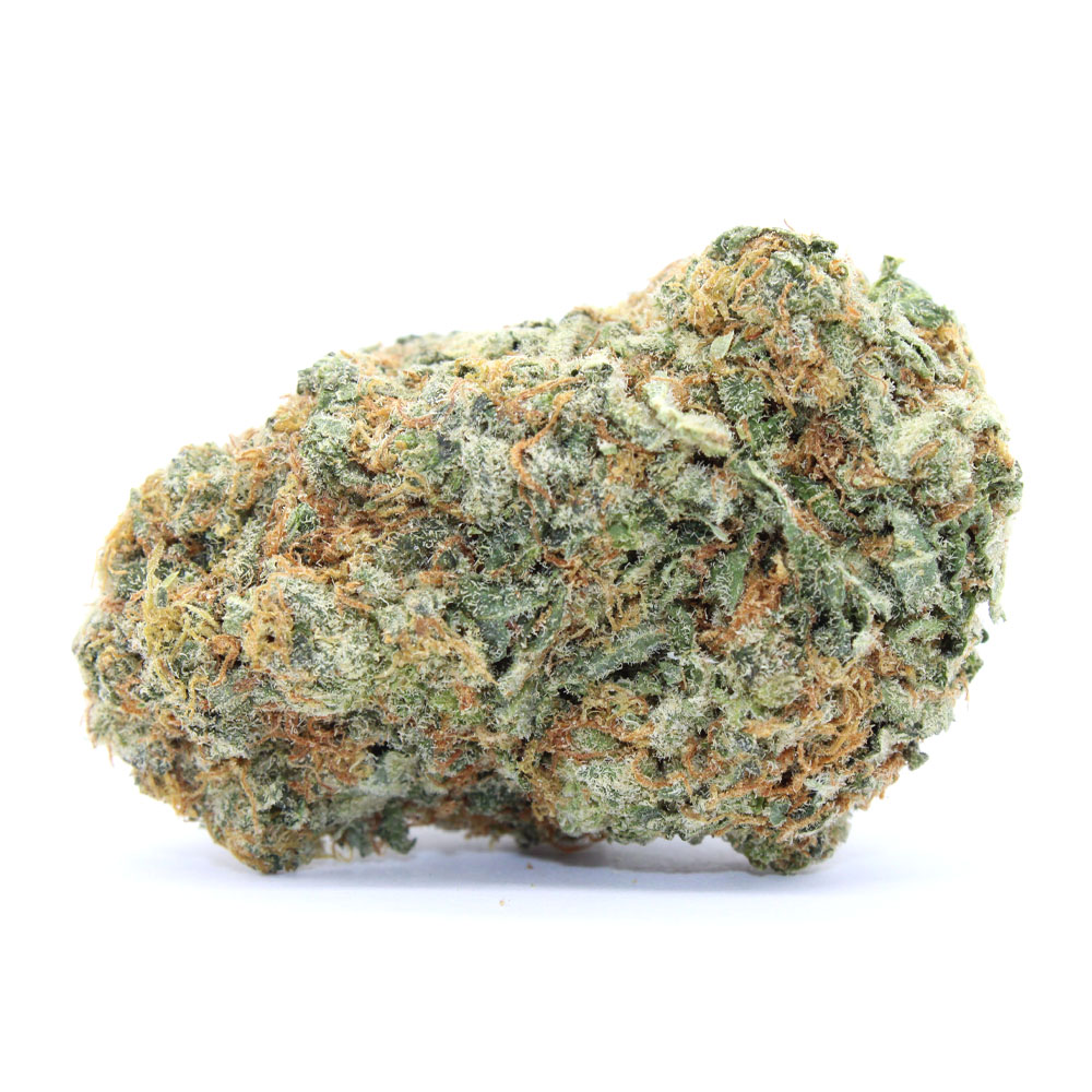 Miscellaneous Flower 2 Miscellaneous Flower - Image 2