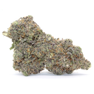 Purple Money Balls Flower