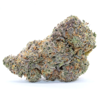 Purple Money Balls Flower - Image 2