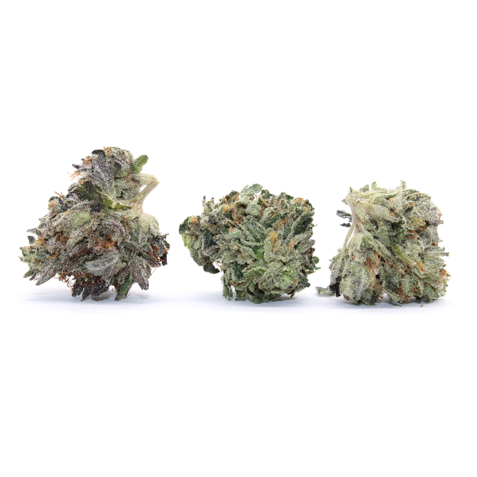 Miscellaneous Flower (smalls)