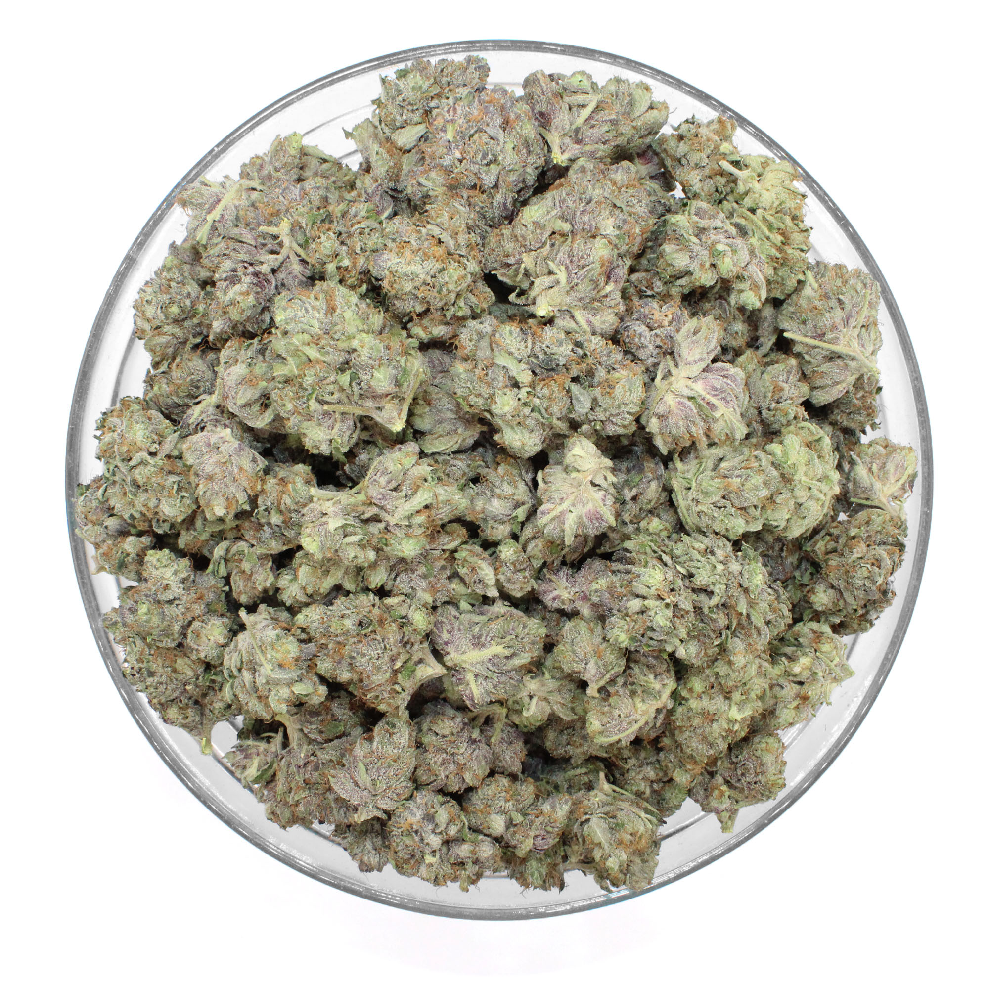 Pink Panties Flower 3 Pink Panties Flower - Image 3