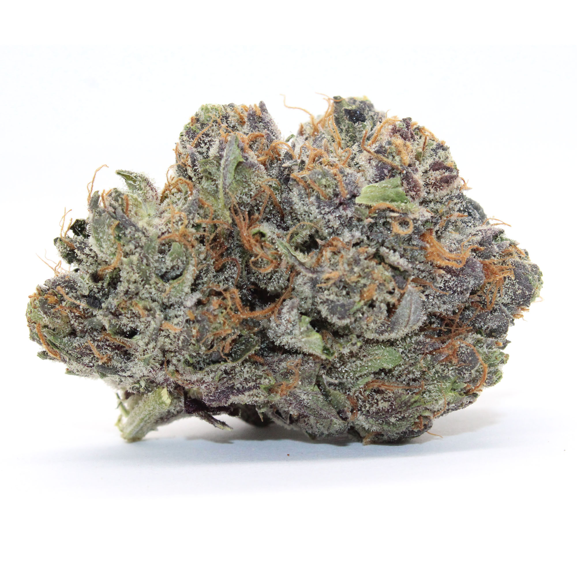 Pink Panties Flower 1 Pink Panties Flower