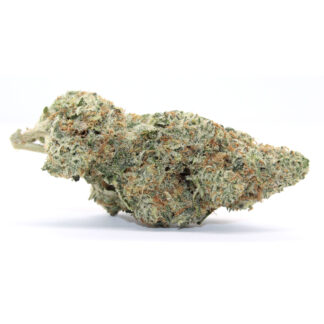 Pink Lemonade Flower