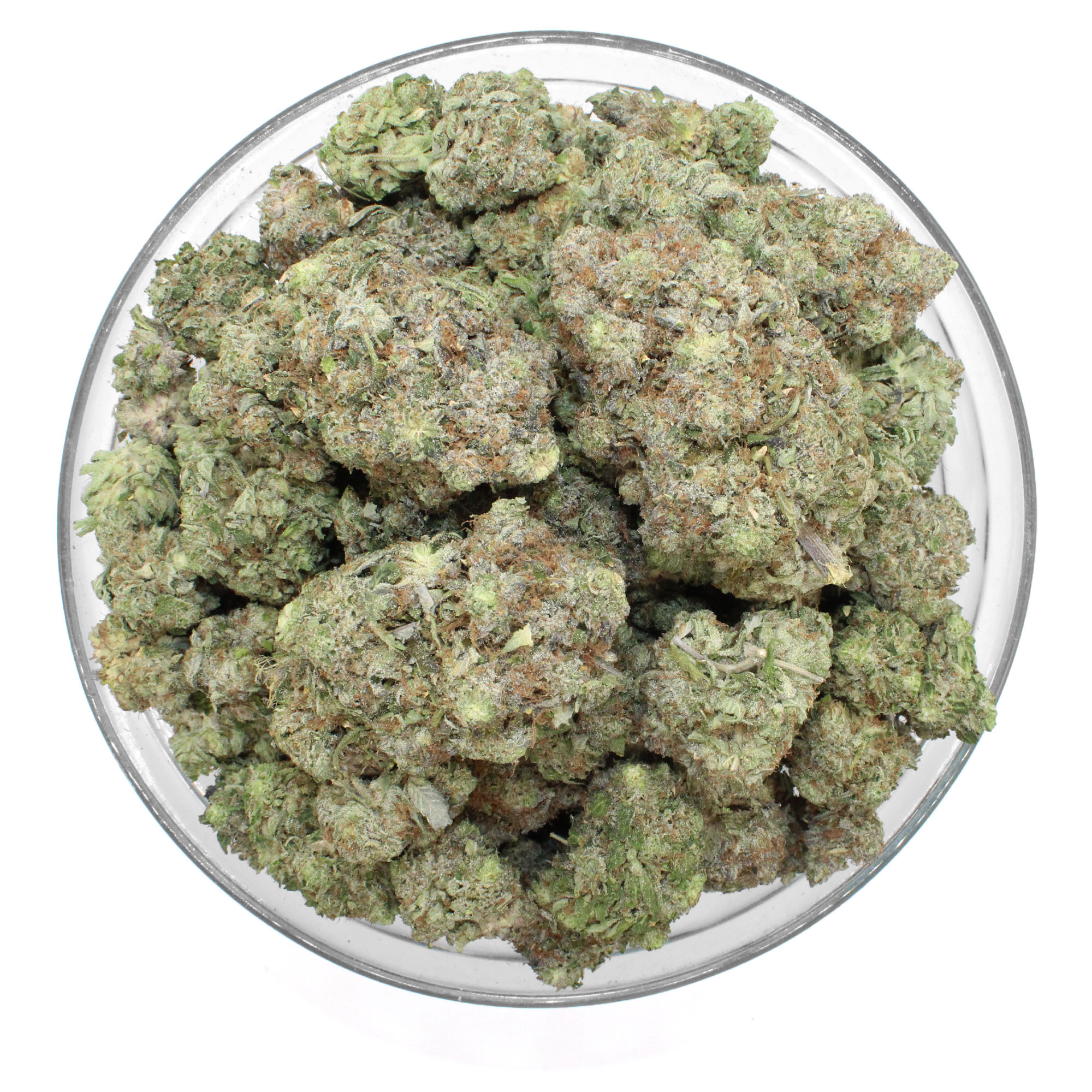 Tuna Flower (Gas) 3 Tuna Flower (Gas) - Image 3