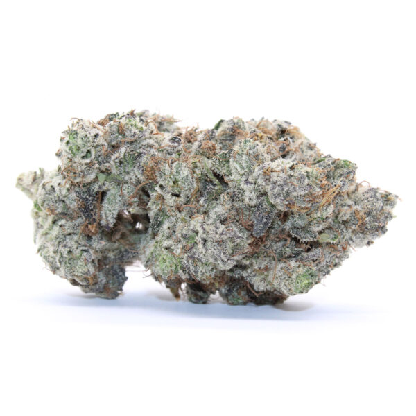 Blueberry Gelato Flower 1 Blueberry Gelato Flower