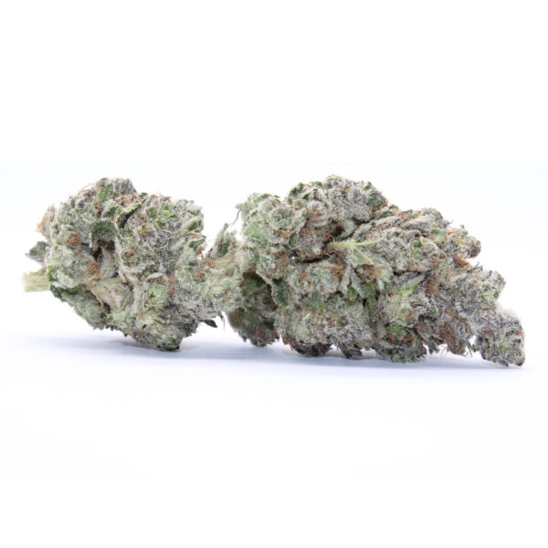 Blueberry Gelato Flower 2 Blueberry Gelato Flower - Image 2