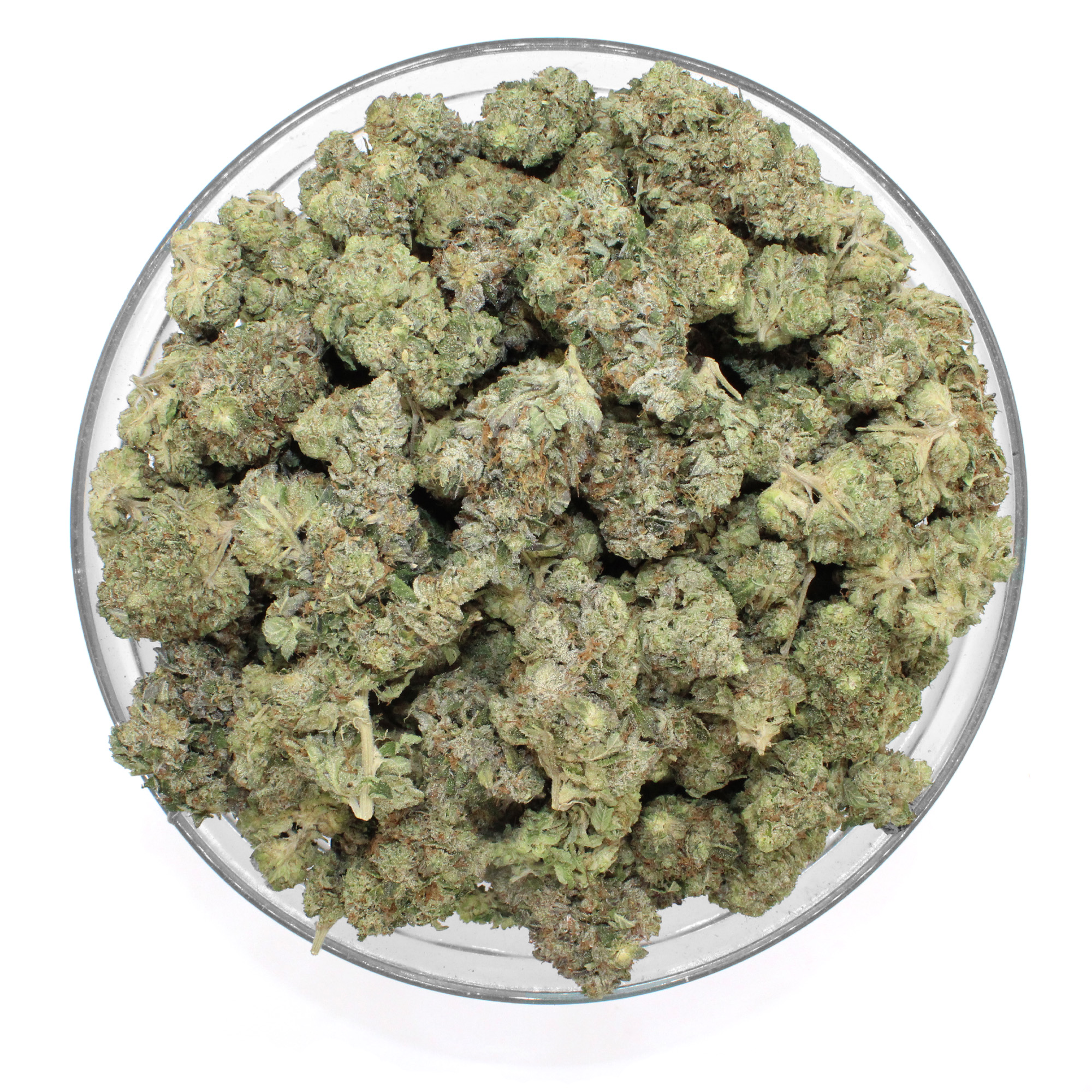 Lemon Bubba Flower 4 Lemon Bubba Flower - Image 4