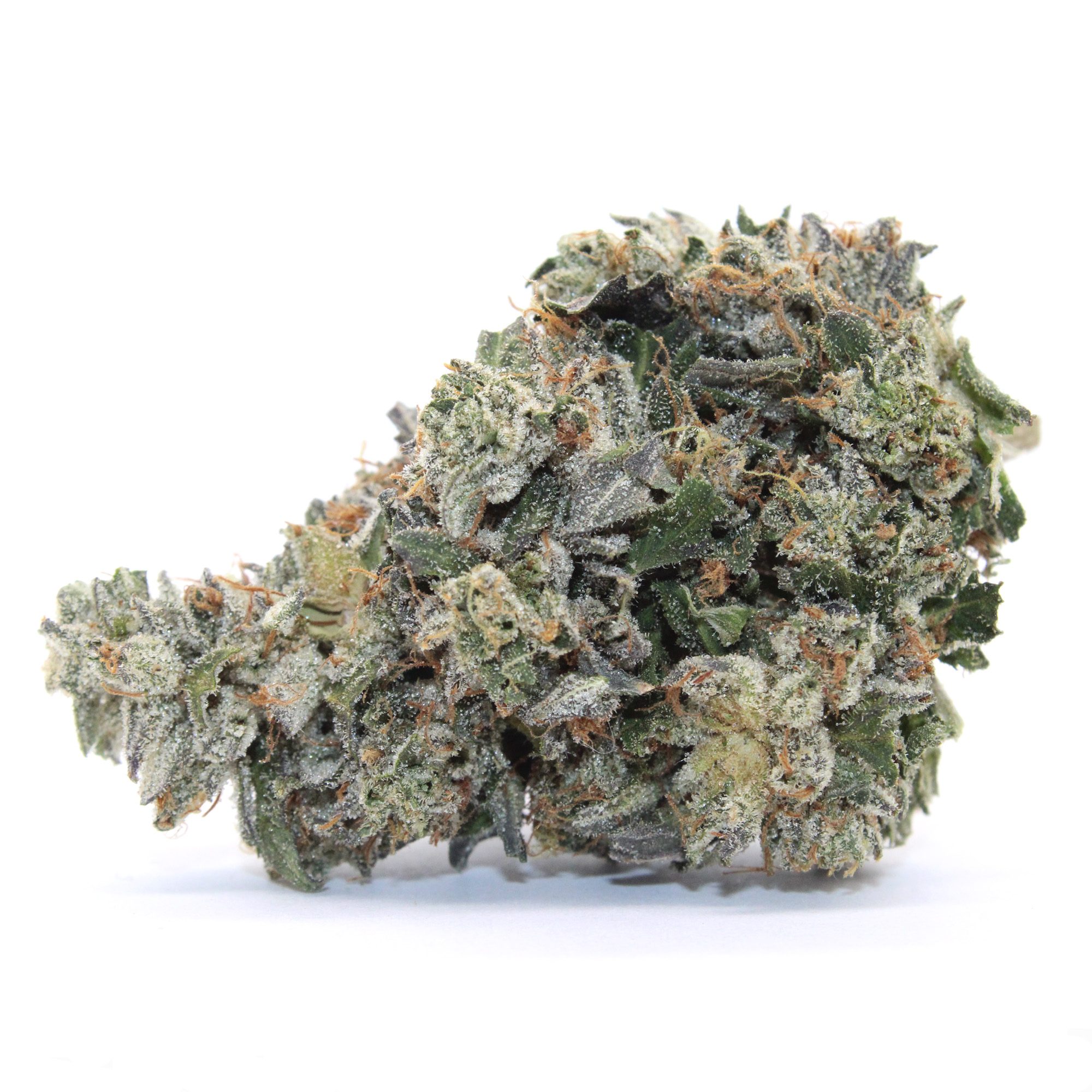 Lemon Bubba Flower 1 Lemon Bubba Flower