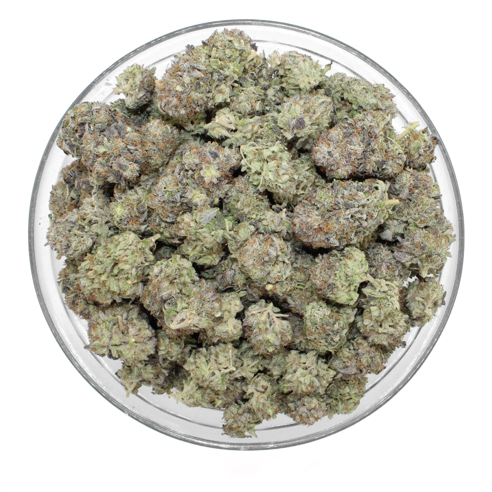 Tuna Flower (Gas) (LSO) 3 Tuna Flower (Gas) (LSO) - Image 3