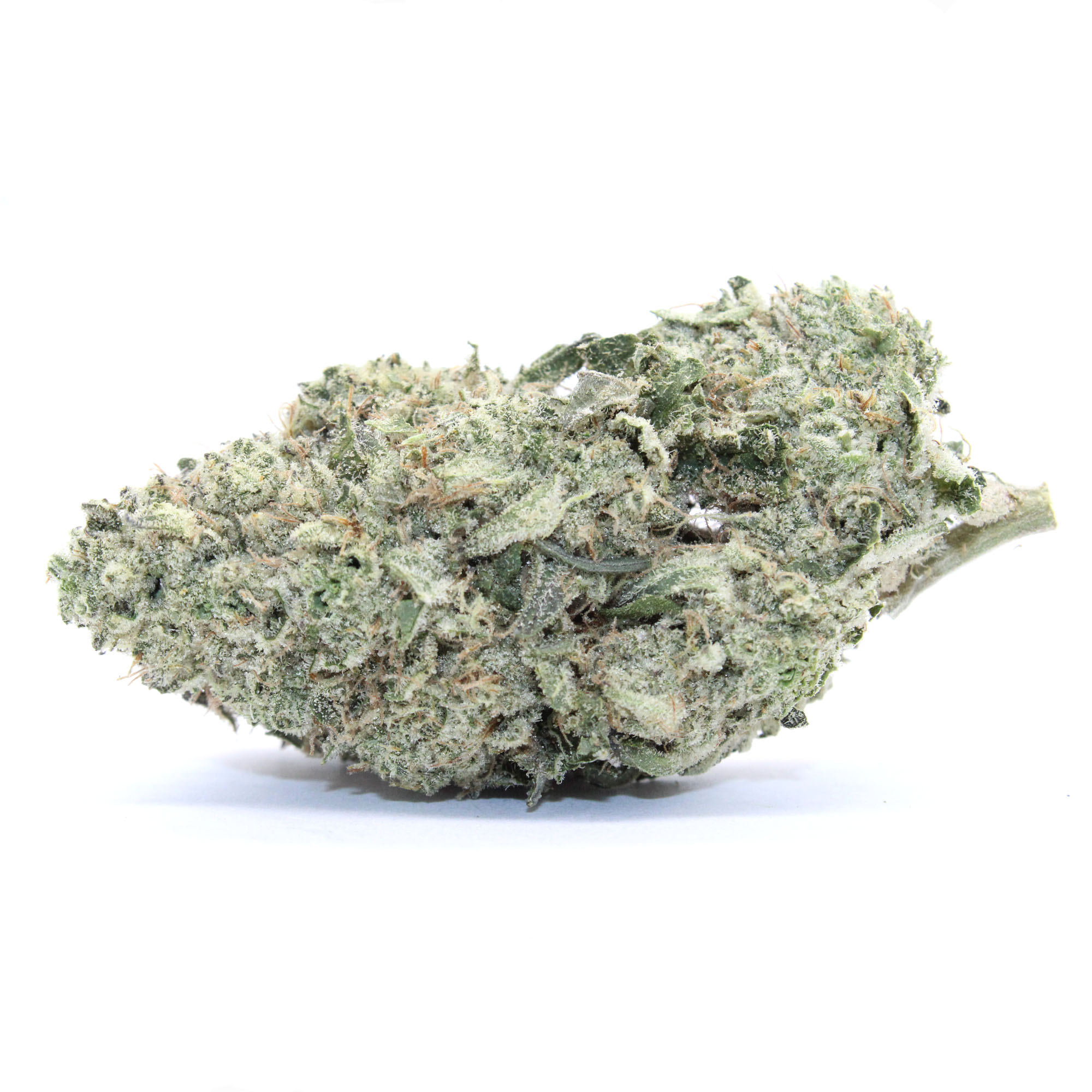 Sex Grenade Flower 1 Sex Grenade Flower