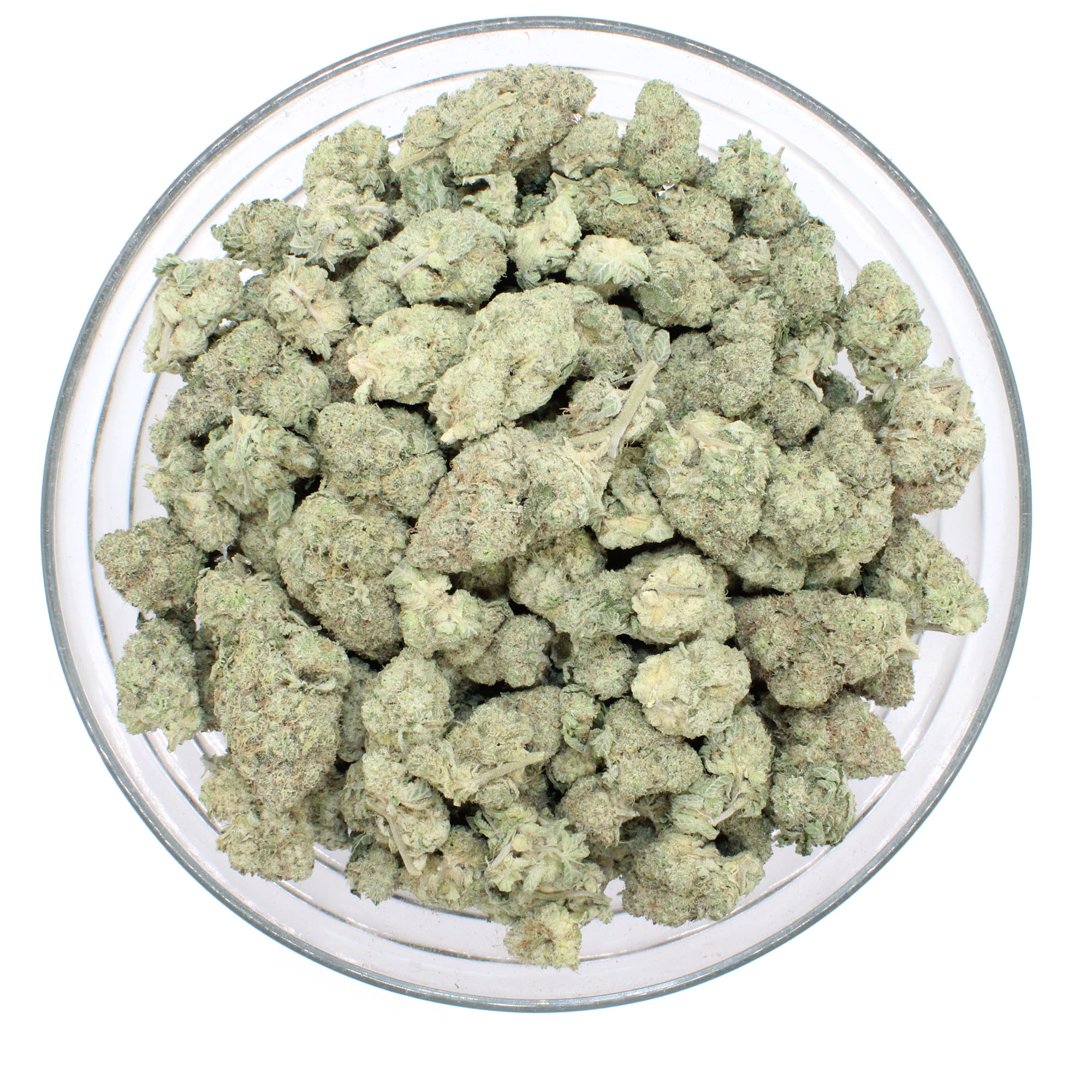 Sunset Sherbert Flower 3 Sunset Sherbert Flower - Image 3