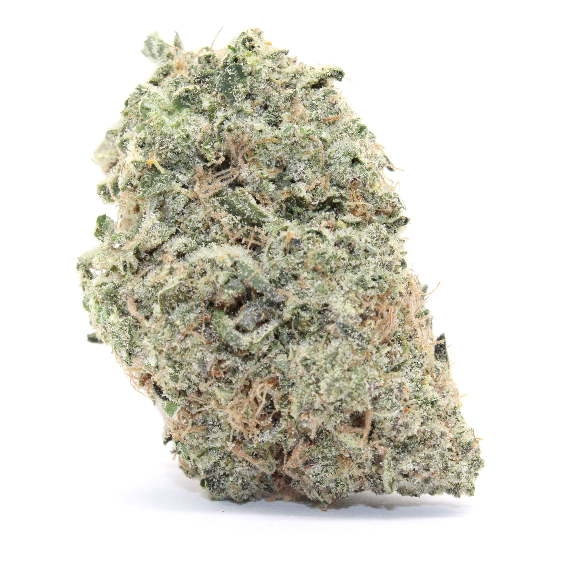 Sunset Sherbert Flower 2 Sunset Sherbert Flower - Image 2