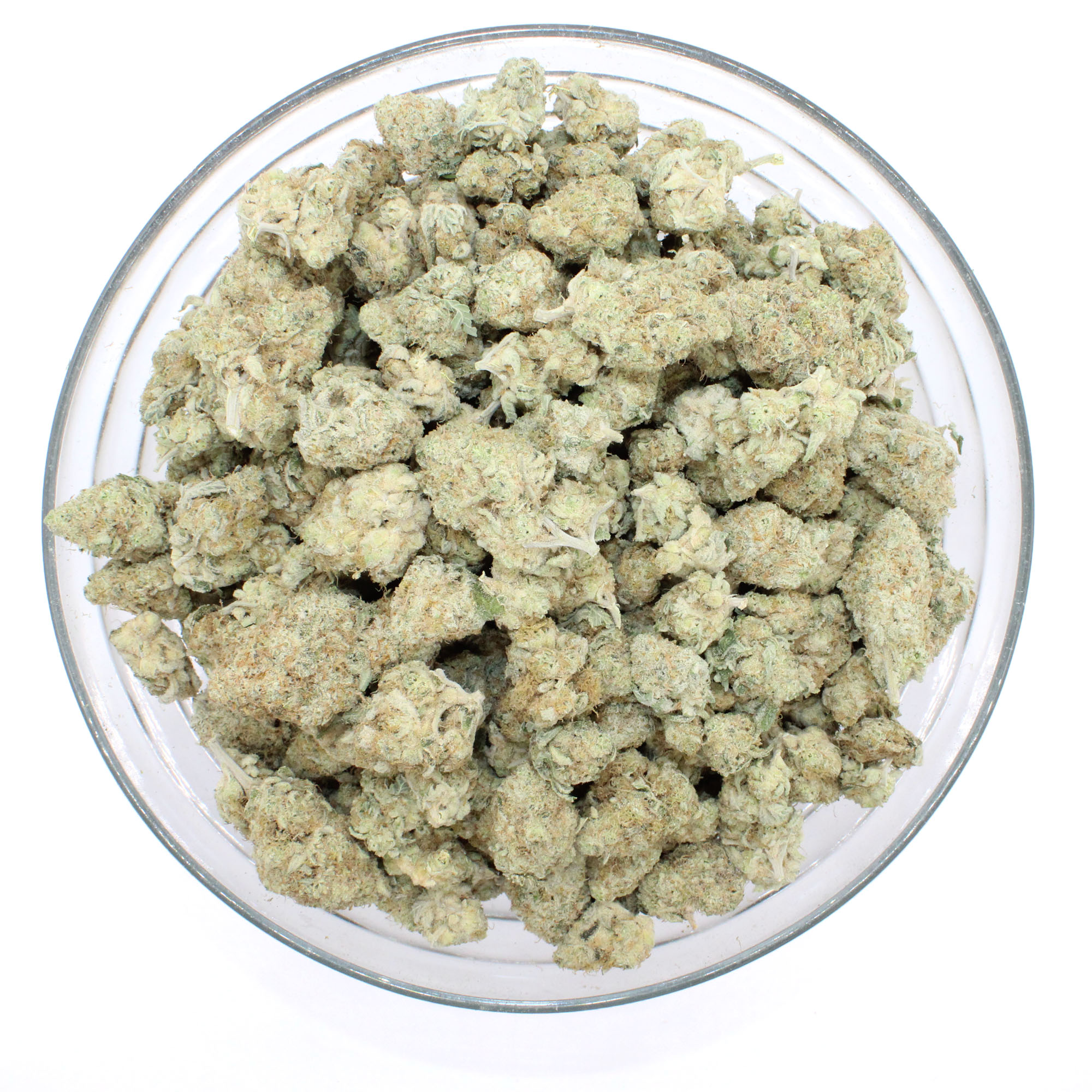 Wizard Flower 3 Wizard Flower - Image 3