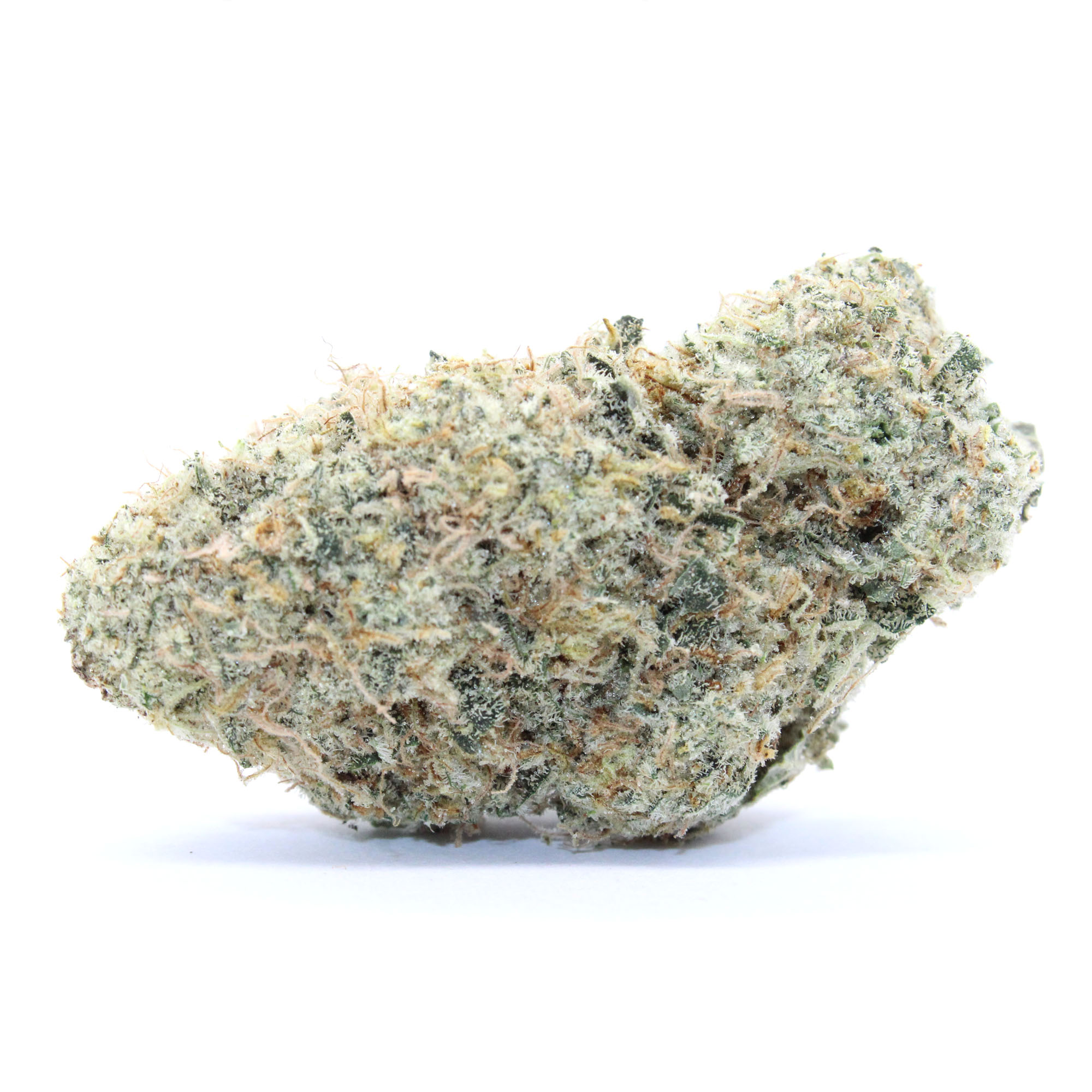 Wizard Flower 2 Wizard Flower - Image 2