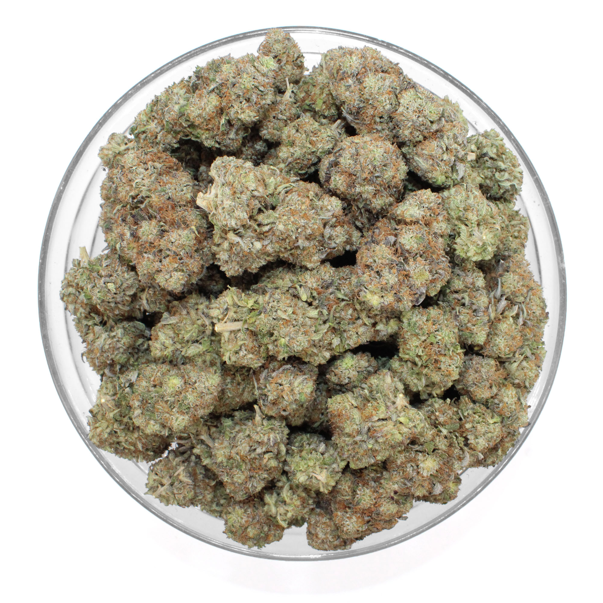 Astro Pink Flower 3 Astro Pink Flower - Image 3