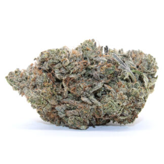 Coastal Pink Flower (Gas)