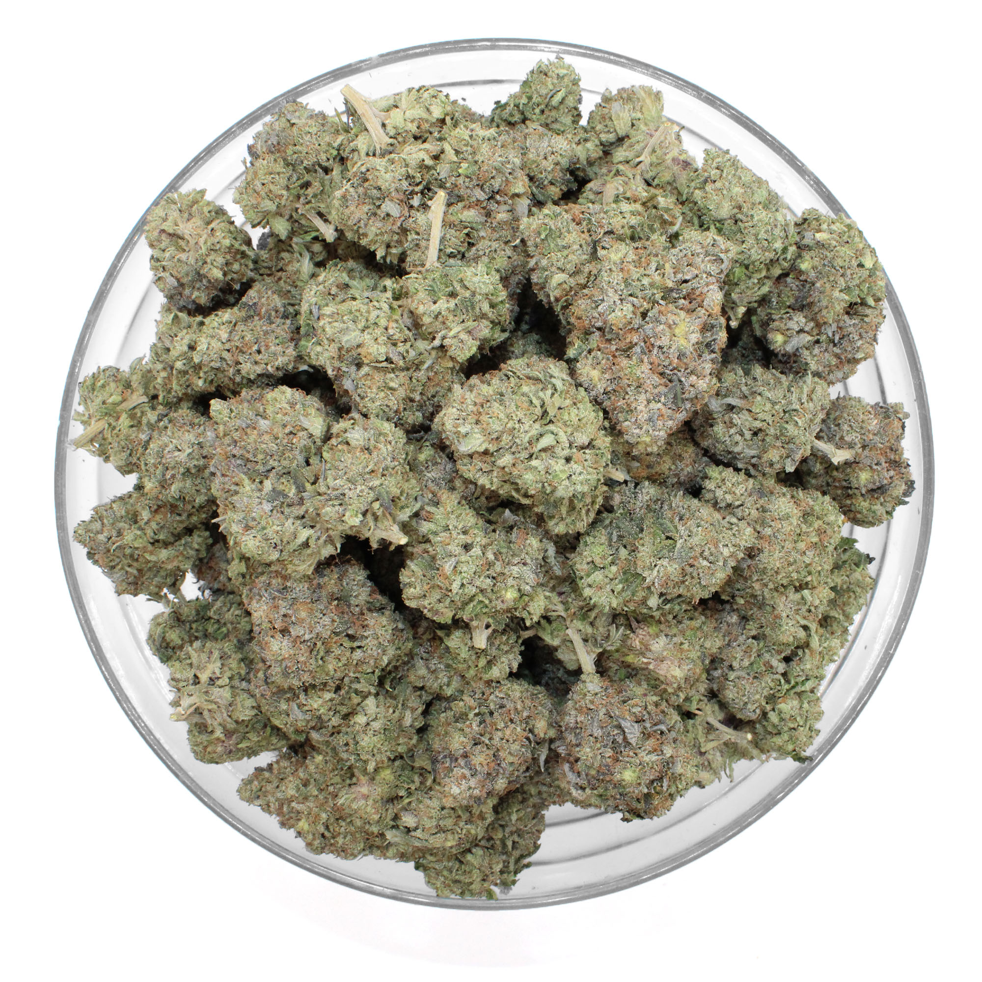 Grand Master Flower 3 Grand Master Flower - Image 3