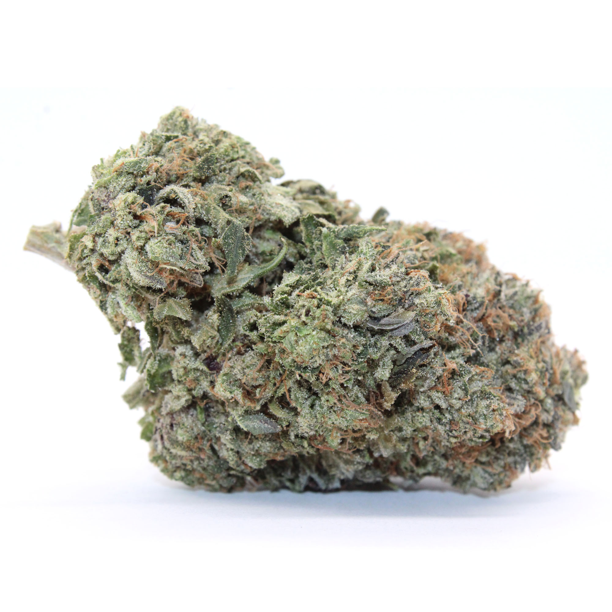 Grand Master Flower 2 Grand Master Flower - Image 2