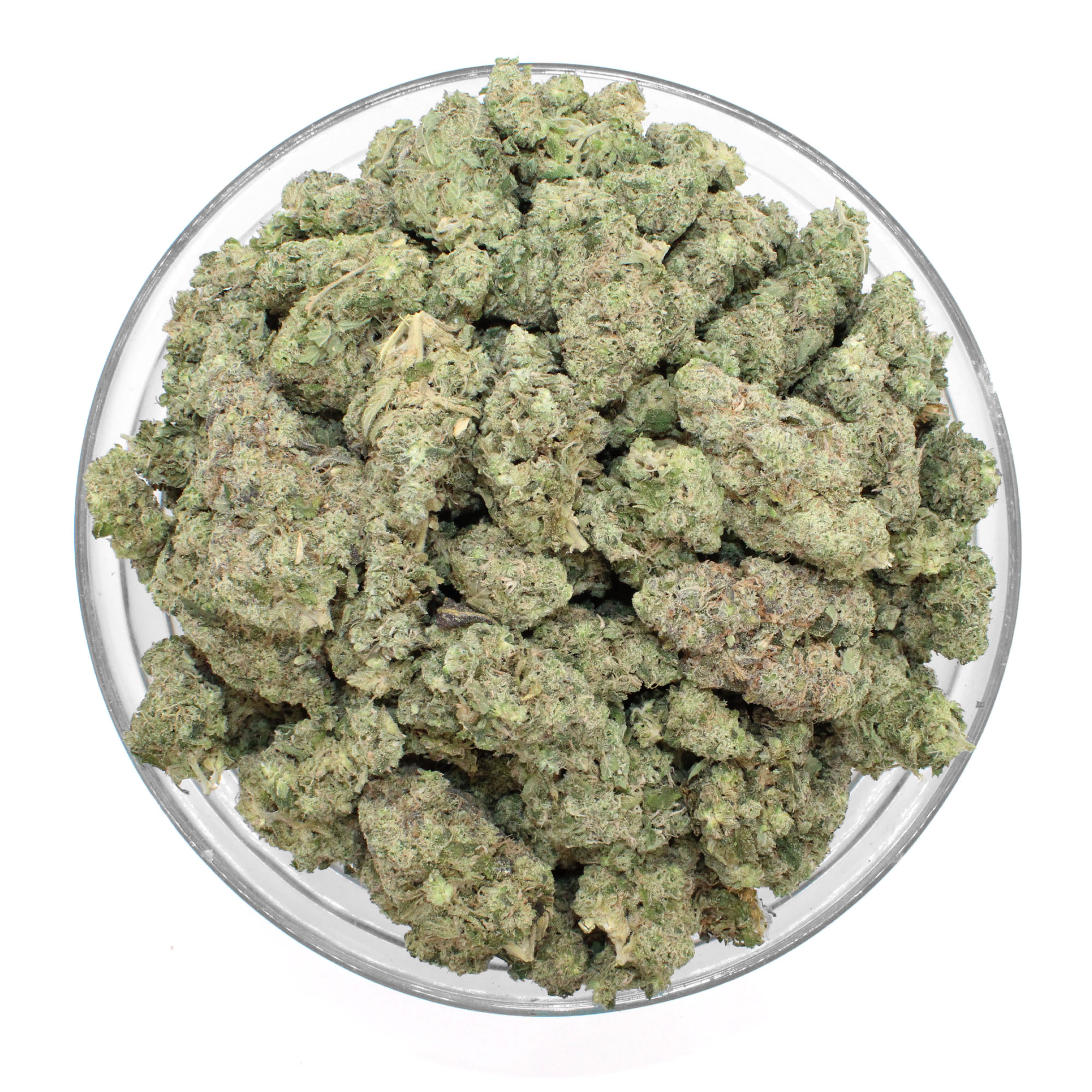 Grape Lemonade Flower 3 Grape Lemonade Flower - Image 3