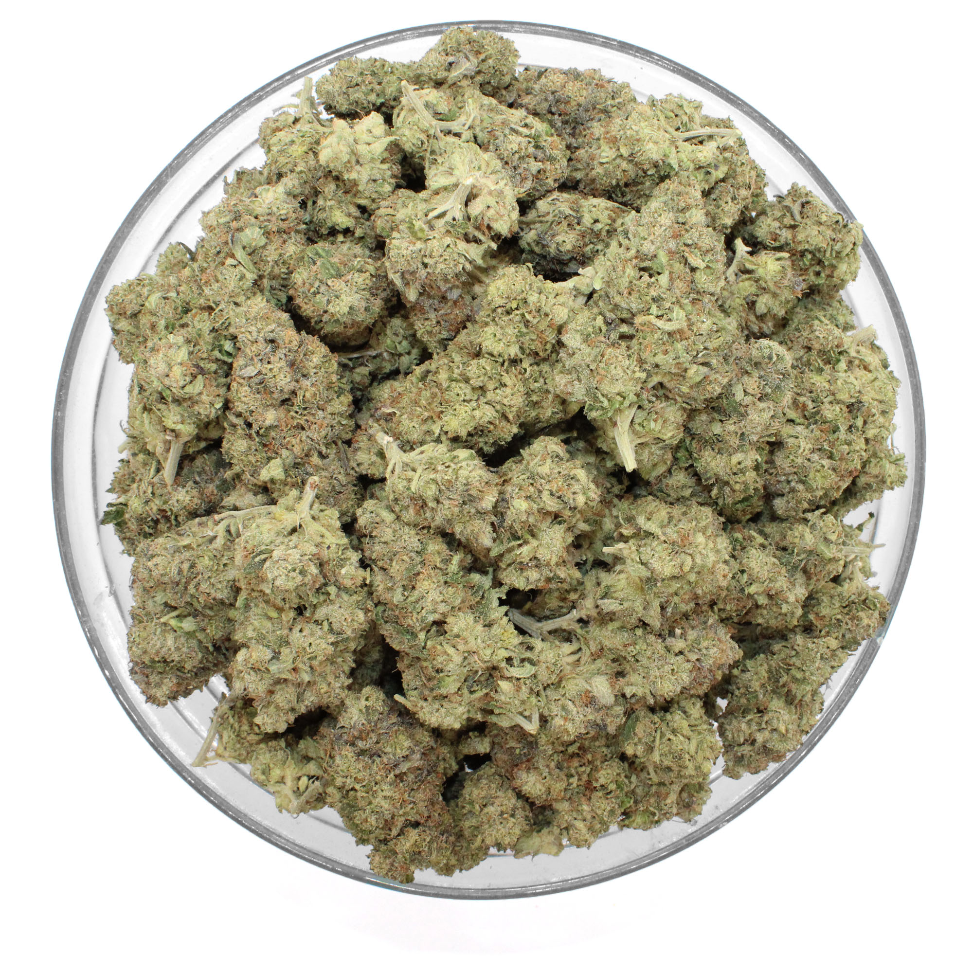 La Blanca Gold Flower 3 La Blanca Gold Flower - Image 3